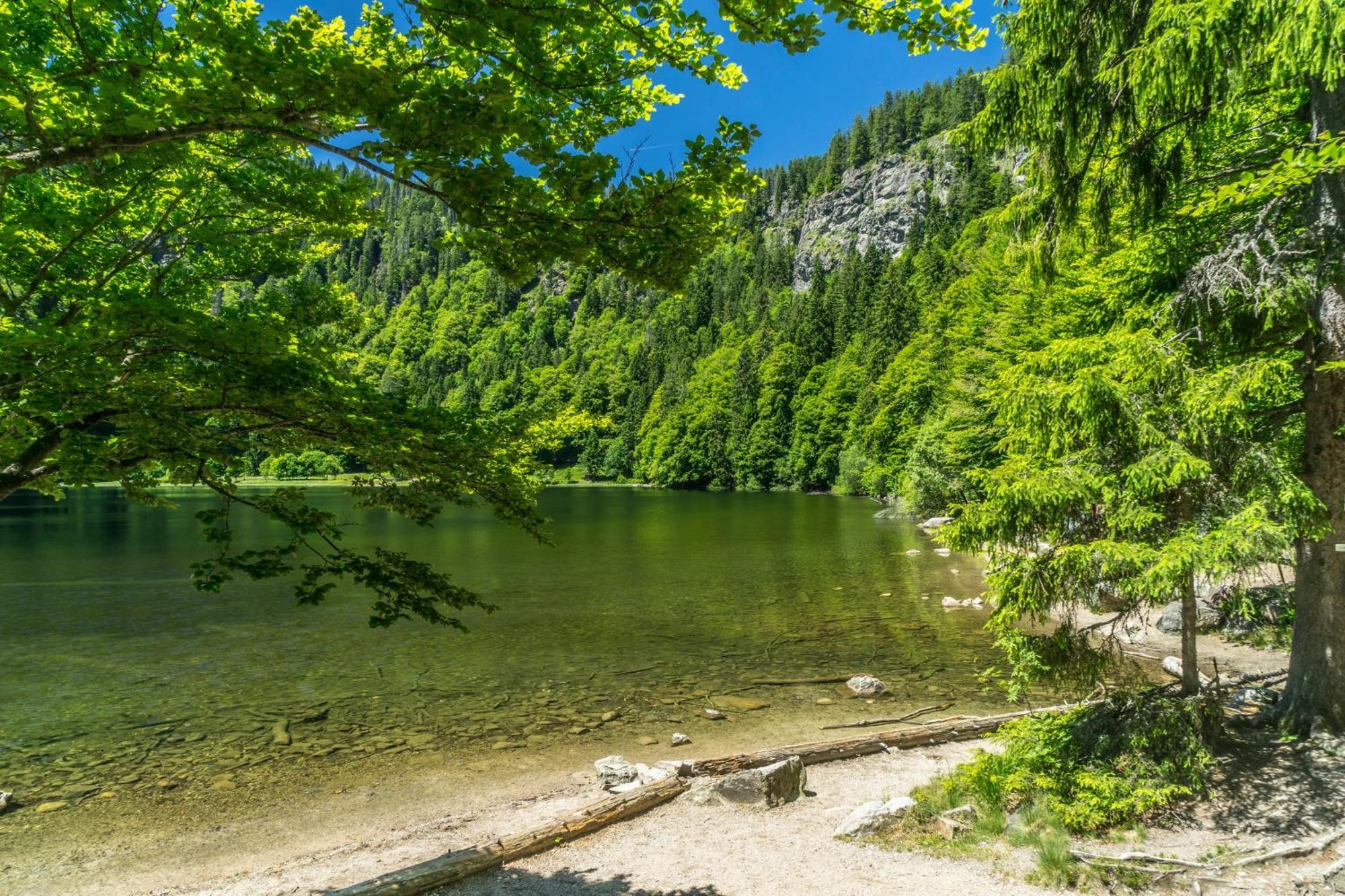 Drei Tannen - Wohnung 07 - Apartmenthaus, Titisee, Feldberg Exteriör bild