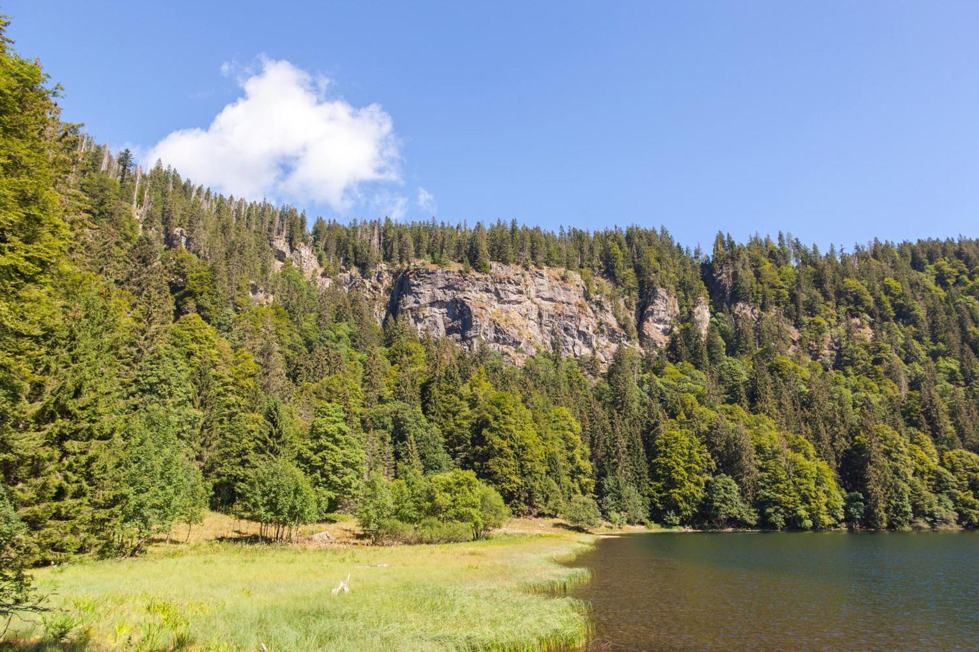 Drei Tannen - Wohnung 07 - Apartmenthaus, Titisee, Feldberg Exteriör bild