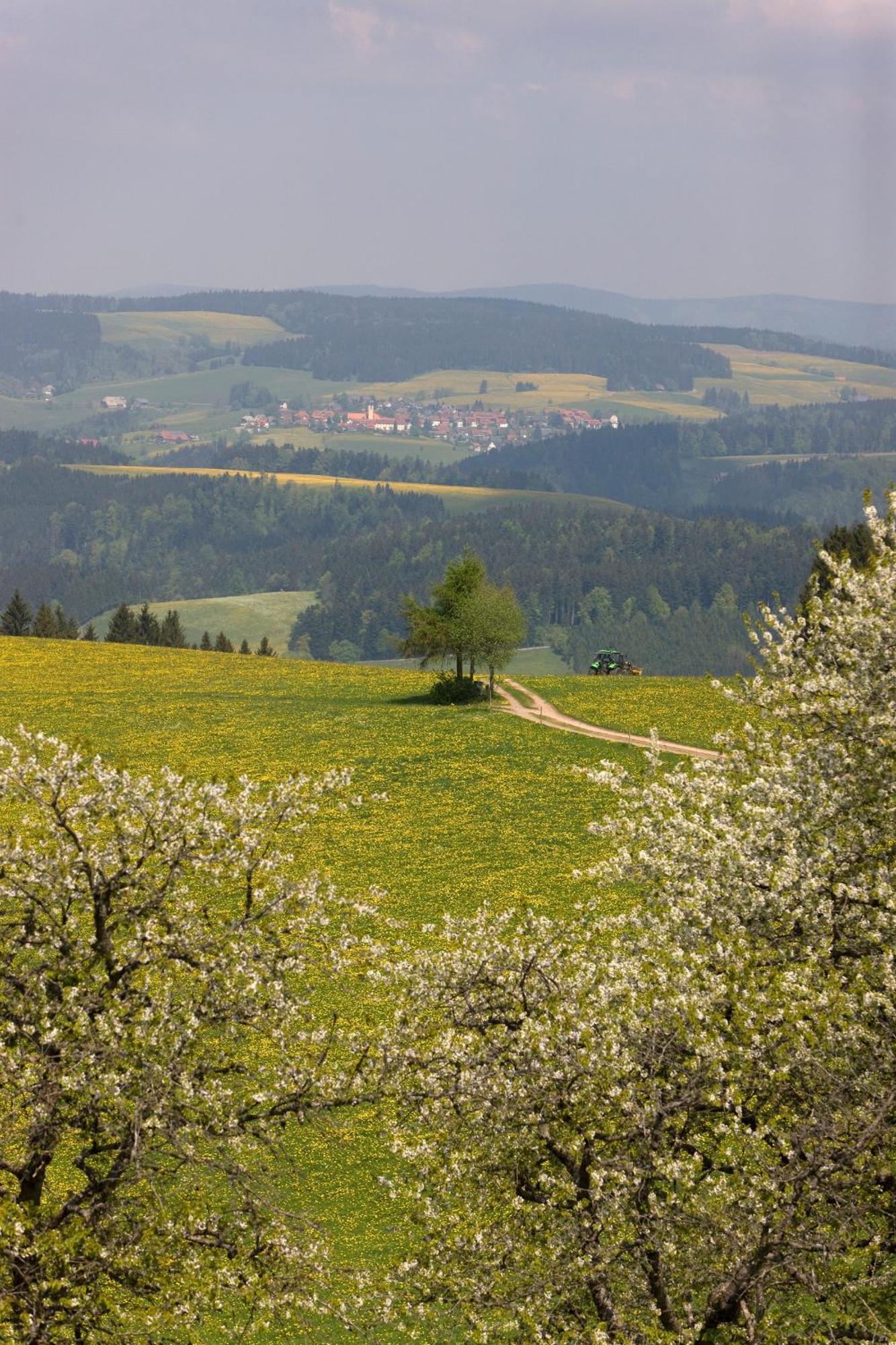 Drei Tannen - Wohnung 07 - Apartmenthaus, Titisee, Feldberg Exteriör bild